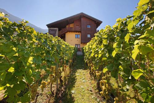 La Vigne De Papagran App6 – Photos 2