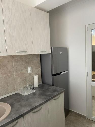 eine Küche mit einer Spüle und einem Kühlschrank in der Unterkunft Residence Tineretului in Roşu