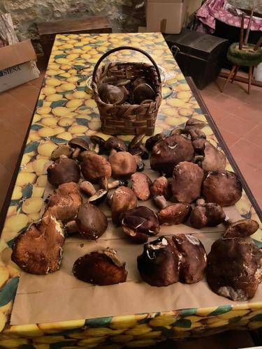 a table with chocolate donuts and a basket on it at CasaMoira in Trequanda