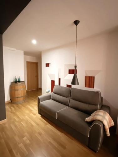 a living room with a couch and a table at Apartamentos Laurel in Logroño
