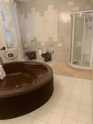 La salle de bains est pourvue d'une grande baignoire et d'une douche. dans l'établissement Villa joy, à Calendasco