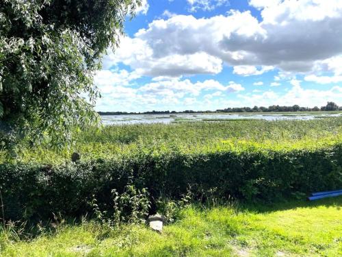 een heg voor een veld met een waterlichaam bij Holiday Home Arnora - 48km from the sea in Western Jutland by Interhome in Højer
