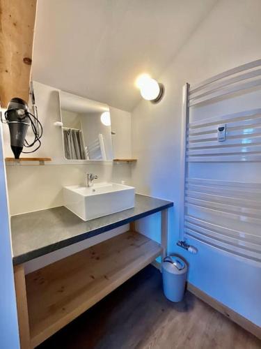une salle de bain avec un lavabo blanc et un miroir dans l'établissement Le Petit Loup, appartement neuf avec jardin, à Gerbépal