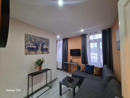 a living room with a grey couch and a tv at Liege in Seraing