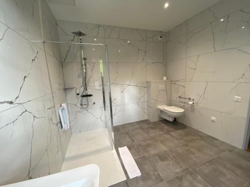 a bathroom with a shower and a toilet at Logis HOTEL DU PARC in Pont-à-Mousson