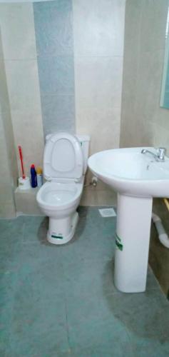 a bathroom with a white toilet and a sink at GOLDEN PALM 3 in Nakuru