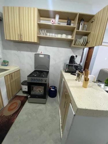a small kitchen with a stove and a counter at GOLDEN PALM 3 in Nakuru
