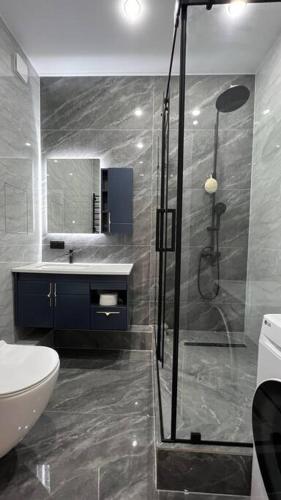 a bathroom with a shower and a toilet and a sink at Cozy 2 room apartment in city center in Almaty