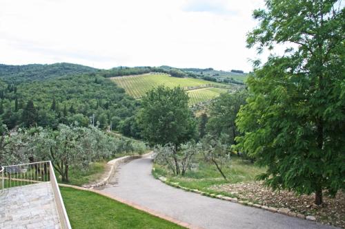 a winding road in the middle of a vineyard at AGRITURISMO VICOLABATE in San Casciano in Val di Pesa