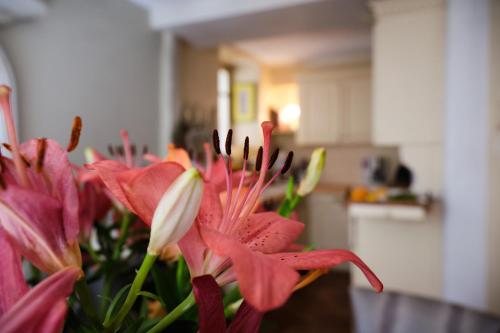 a bunch of pink flowers in a vase at Maison chez nous in Izeron