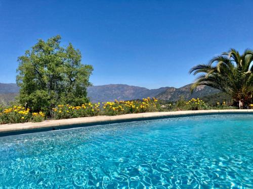 uma piscina com vista para flores e montanhas em Swiss Eco Lodge La Linda Loma - Olmué em Olmué