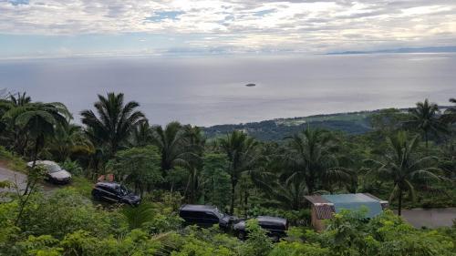 a view of the ocean from a hill with palm trees at Eco Farm Romantic Stone House with STARLINK internet 700 meters above sea level in Mambajao
