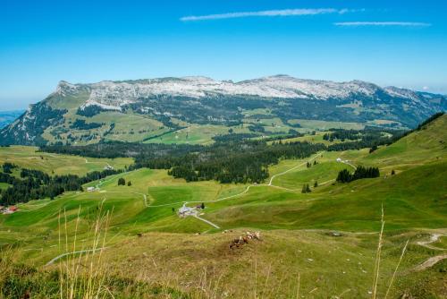 a green hillside with snow covered mountains in the background at Bergwelten Salwideli in Sörenberg