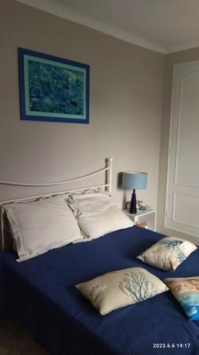 um quarto com uma cama com lençóis e almofadas azuis em LA MAISON DU BONHEUR em Velleron