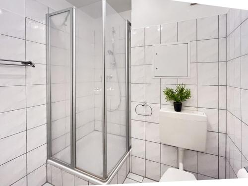 a white bathroom with a shower and a toilet at Sünnslag Wohnung 088 in Boltenhagen
