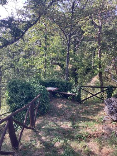 La cornacchiaia – Photos 4