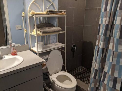 uma casa de banho com um WC, um lavatório e um chuveiro em Snowbirds escape / vacation gateway #a em Englewood