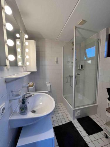 ユリアーナドルプにあるZeester 4 persoonsの白いバスルーム(シャワー、シンク付)