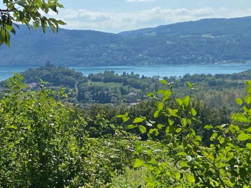 a view of a lake from a hill with trees at Du Vent Dans Les Arbres -120m2 Belle vue sur le lac in Chindrieux