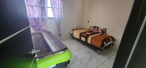 1 dormitorio con 2 camas y una ventana con cortinas en Spectrum, en Tulancingo