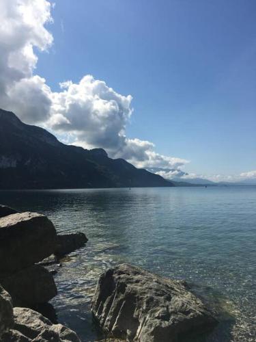 a view of a large body of water with rocks at Du Vent Dans Les Arbres -120m2 Belle vue sur le lac in Chindrieux