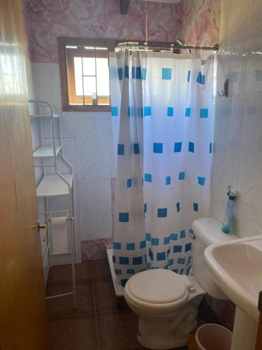 y baño con aseo y cortina de ducha. en Cabaña quilpue, en Quilpué