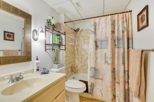 a bathroom with a sink and a toilet and a shower curtain at Fort Calhoun Home with Screened Porch and Playground! 