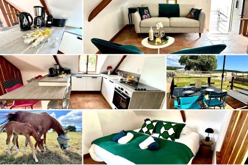 a collage of pictures of a room with a horse at Gîte Fancy, Vallée du Scorff, Nature 2-4 personnes in Arzano