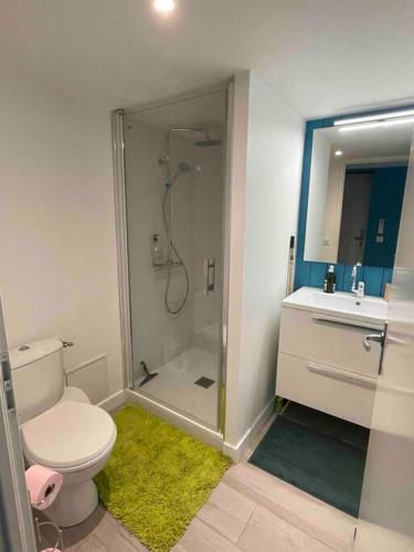 une salle de bain avec une douche, des toilettes et un lavabo dans l'établissement Charmant Studio - Jacuzzi/Jardin, à Andernos-les-Bains