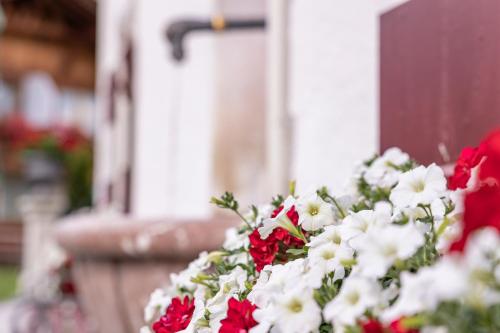 a bunch of red and white flowers in front of a door at Aparthotel Ansitz Felsenheim in Lermoos