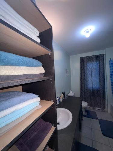a bathroom with a sink and a shelf with towels at Maison chaleureuse, énergétique et florale in Sherbrooke