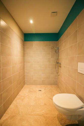 ein Bad mit einem WC und einer Dusche in der Unterkunft Vita, Jacuzzi Partagé & Parking avec Borne de Recharge Voiture Electrique in Sarlat-la-Canéda