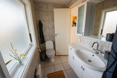 uma casa de banho com um lavatório, um WC e um espelho. em Cottage With Panoramic View Of Lammefjorden em Holbæk