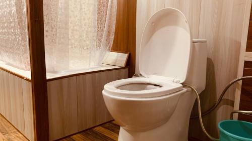 a white toilet in a bathroom with a curtain at House Boat New Lucifer in Srinagar