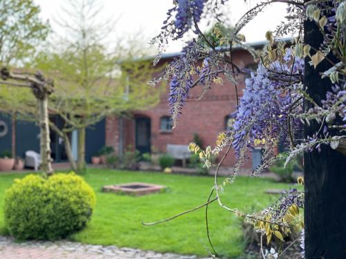 a yard with a house with a tree with purple flowers at Ferienwohnung DREI Hof Himmelgrün in Saal