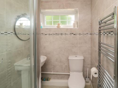 Goldfinch في Grindon: حمام مع مرحاض ومغسلة ومرآة