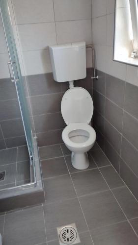 La salle de bains est pourvue d'une douche et de toilettes. dans l'établissement Apartmani Bogdanovic Studio 1, à Vrdnik