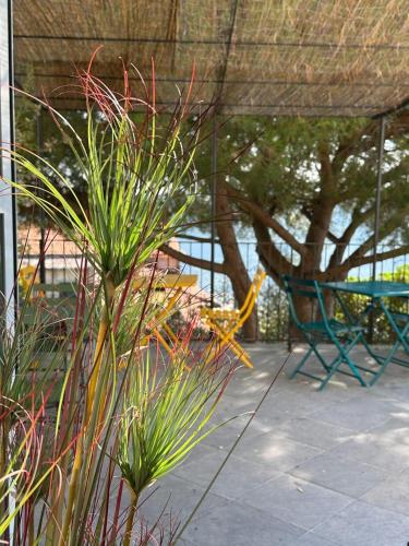 a patio with a table and a bench and a tree at Il Gelso in San Bartolomeo