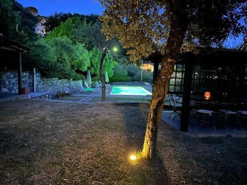 a tree with a light next to a swimming pool at Il Gelso in San Bartolomeo