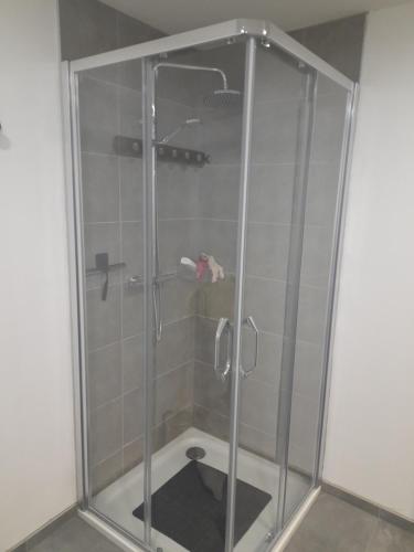 a shower with a glass door in a bathroom at Chez Francis in Verviers