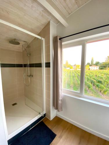 利布爾訥的住宿－Chambre d’hôtes~Château Austerlitz，带淋浴的浴室和窗户。