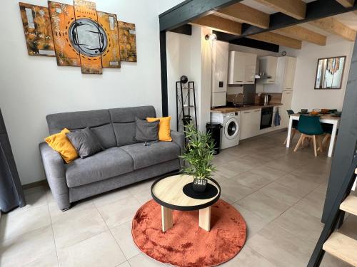 Appartement 2 hyper centre d'Agen avec garage et terrasse