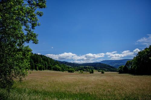 別荘の近くで見られる自然の景観
