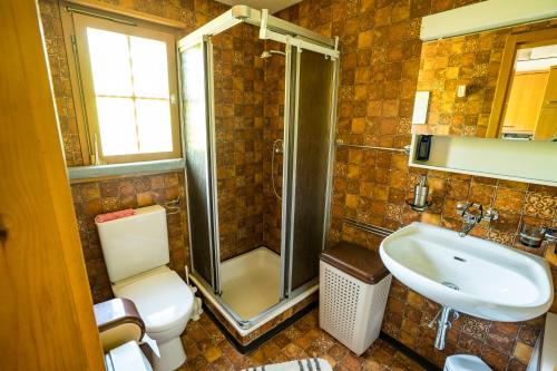 a bathroom with a shower and a toilet and a sink at Haus Chalet Beverin in Cazis