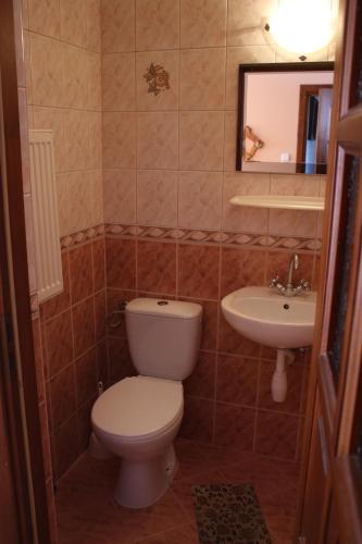 a bathroom with a toilet and a sink at Pokoje Gościnne Łukaszczyk in Zakopane