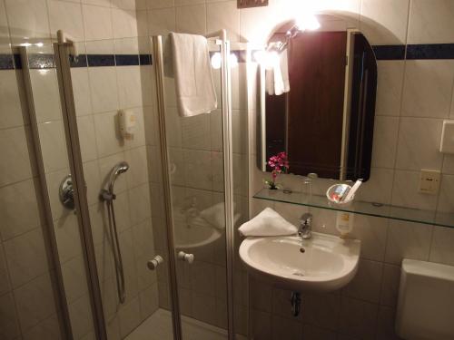 a bathroom with a shower and a sink at Adler Hotel & Restaurant Groß-Gerau in Groß-Gerau