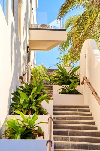 a staircase leading up to a building with plants at Hotel Basalto in Punta Mita