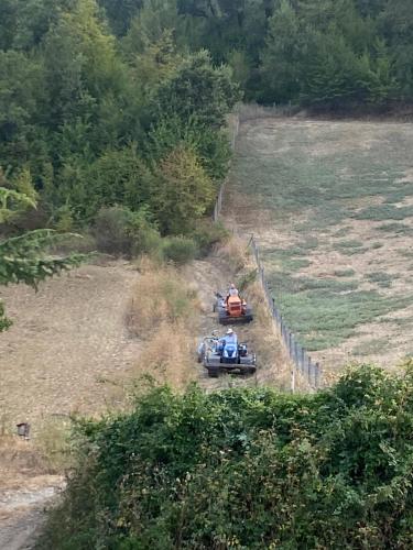 two racing cars on a dirt track near a fence at Lo Scoiattolo Country House in Montorio al Vomano