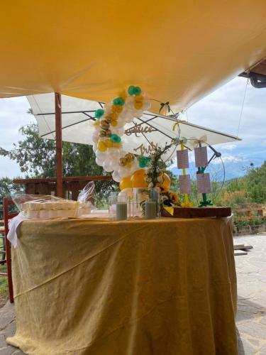 a table under a tent with a bunch of balloons at Lo Scoiattolo Country House in Montorio al Vomano