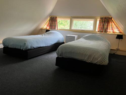1 dormitorio con 2 camas y ventana en Oasis Giethoorn, en Giethoorn